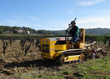 Saint Chamond tractor in vines