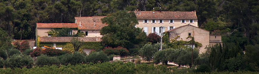 Domaine viticole dans le Minervois