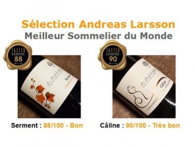 The World's Best Sommelier selects two wines from Le Pech d'André